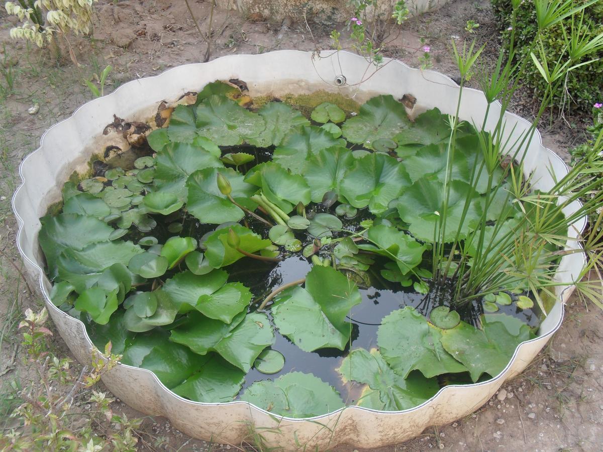 مسقط Garden Roomz Oman المظهر الخارجي الصورة